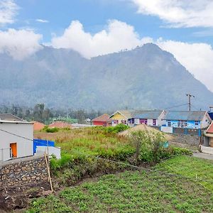 Tengger Indah Bromo Homestay At Desa Wisata Bromo Mitra Reddoorz Probolinggo Exterior photo