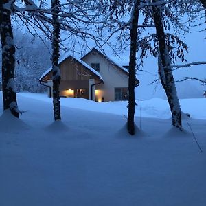 Loft Naturalpina Dolomiti Farm Apartment Belluno Exterior photo