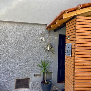 Refugio Da Vila - Refuge Of The Village Vouzela Exterior photo