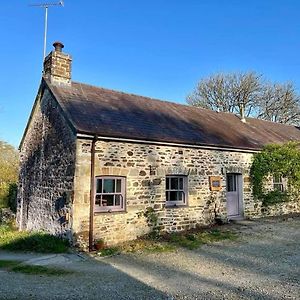 The Rose Barn, Ysgubor Y Rhosyn Villa Llandysul Exterior photo