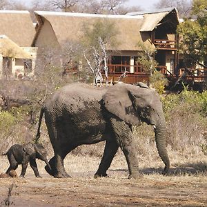 Elephant Plains Game Lodge Sabi Sand Game Reserve Exterior photo