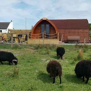 Achmeney Glamping Pod Larger Than Average Pod Villa Halkirk Exterior photo