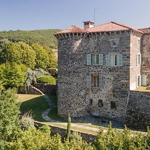 Chateau Du Chambon Villa Cerzat Exterior photo