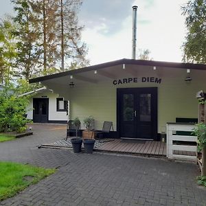 Ruim Chalet Met Houtkachel Nabij Wildlands Emmen Villa Schoonebeek Exterior photo