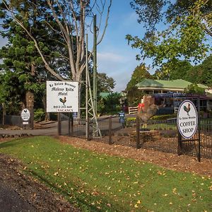 Maleny Hills Motel Exterior photo