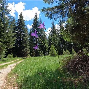 Wood Inn Zabljak  Exterior photo