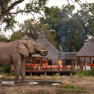 Hoyo Hoyo Safari Lodge Mluwati Concession Exterior photo