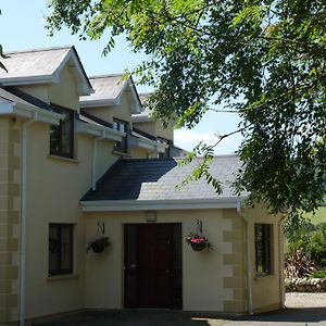 Macreddin Rock Bed & Breakfast Bed & Breakfast Aughrim Exterior photo