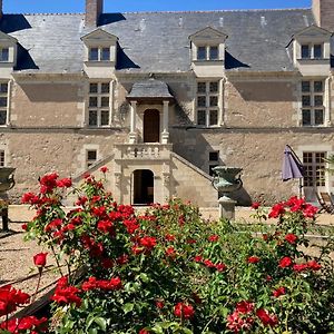 Chateau De Chappe Bed & Breakfast Les Bois-d'Anjou Exterior photo