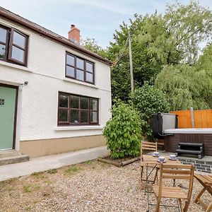 Fisherman'S Cottage Llandysul Exterior photo