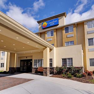 Comfort Inn Mount Airy Exterior photo