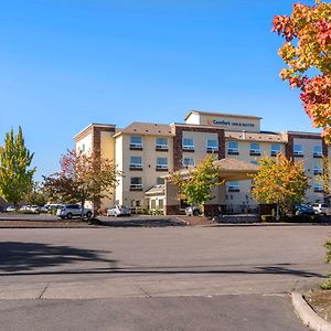 Comfort Inn & Suites Salem Exterior photo