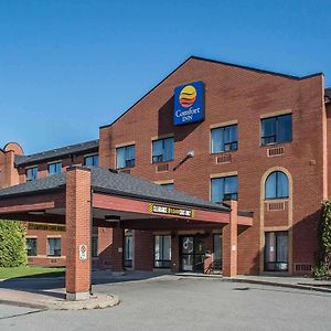 Comfort Inn Port Hope Exterior photo