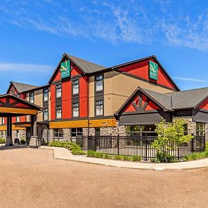 Quality Inn & Suites Petawawa Exterior photo