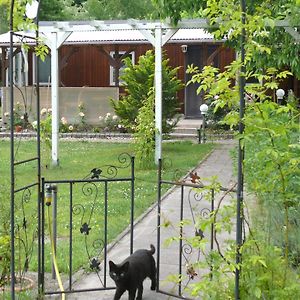 Bungalow Im Maerchengarten Villa Krauschwitz Exterior photo