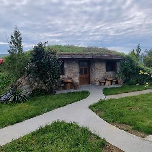 Hobbit Eco House -Zdrelo Bed & Breakfast Petrovac na Mlavi Exterior photo