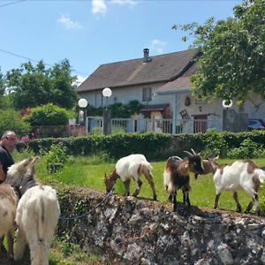 Basse-Cour De Montin Au 256 Chemin De La Rocaille A 38510 Vezeronce Curtin Bed & Breakfast Morestel Exterior photo