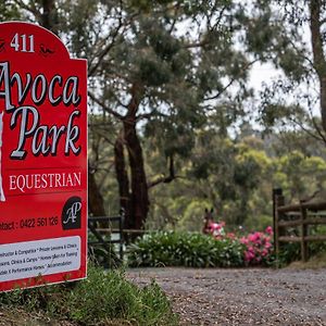 Avoca Park Equestrian Farmstay Macclesfield Exterior photo