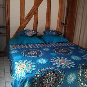 Chambre D'Hotes Des P'Tits Bonheurs Bed & Breakfast Dosches Exterior photo