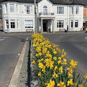 Dolphin Hotel Bovey Tracey Exterior photo