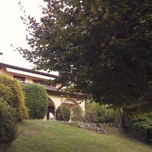 Amazing 3 Bedrooms Villa With Lavish Garden, Breathtaking Lake And Mountains View Luino Exterior photo