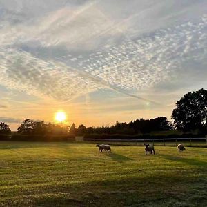 Sunset View A Quiet And Romantic Rural Retreat For 2 Adults Just Outside Ingleton Apartment Ingleton  Exterior photo