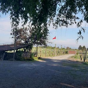 El Carmen De Los Guindos, Las Choicas, Curico Guest House Exterior photo