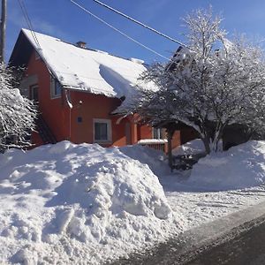 Apartments Matovina Saborsko Exterior photo