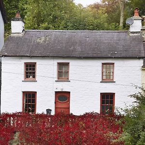 Arwel Villa New Quay  Exterior photo