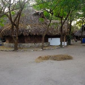 Auroa Palomino Hotel Exterior photo