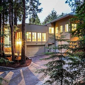 Stunning Guest House Nestled Within The Redwoods Corte Madera Exterior photo