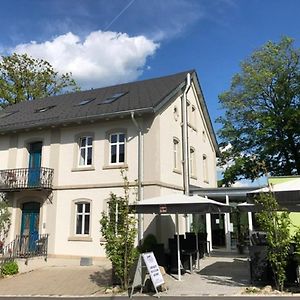 Das Logierhaus Hotel Bad Alexandersbad Exterior photo