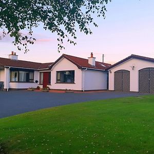 Lecale Bliss Bed & Breakfast Downpatrick Exterior photo