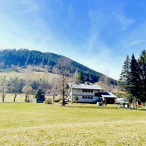 Tolle Wohnung Im Gurktal Mit Garten Weitensfeld Exterior photo