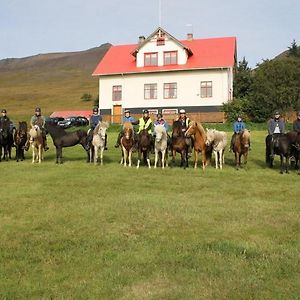 Ferthaþjonustan Geitaskarthi Bed & Breakfast Blonduos Exterior photo