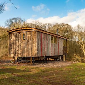 Bertha Shepherd'S Hut Villa Lydney Exterior photo