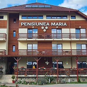 Pensiunea Maria Hotel Gilau Exterior photo