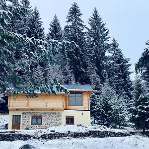 Magia Di Montagna Villa Zabljak  Exterior photo