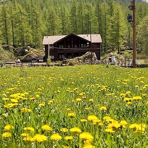 Chalet Rosa Dei Monti Hotel Valprato Soana Exterior photo