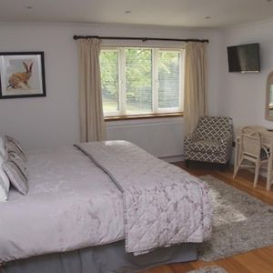 Cherry Tree Guesthouse Bradford-On-Avon Room photo