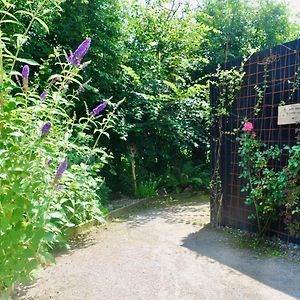 Les Bobos A La Ferme Bed & Breakfast La Madelaine-sous-Montreuil Exterior photo