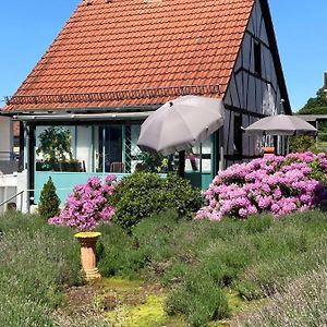 Ferienhaus Mit Sauna, Wintergarten Und Terrasse Im Schoenen Hochtaunus Villa Glashutten  Exterior photo