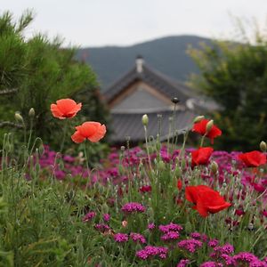 Mirinae Hanok Tradiational House Hotel Gwangyang  Exterior photo