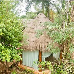 Oma Cancun - Holistic Healing Center Exterior photo