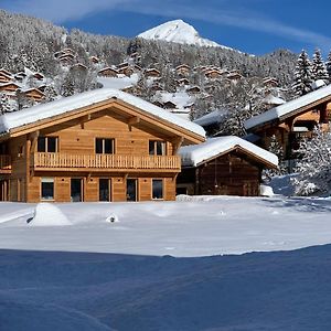 Chalet Vicky Et Nino Apartment Les Diablerets Exterior photo