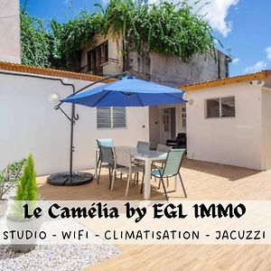 Le Camelia - Gite "Terre Et Truffes" Apartment Le Lamentin Exterior photo