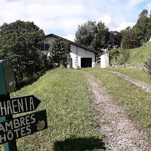 Maison Florenchaenia Sur Le Chemin De Compostelle Apartment Saint-Jean-Pied-de-Port Exterior photo