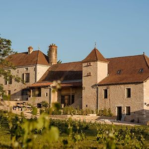 Clos Des Dames De Lancharre - La Maison Des Vignes Bed & Breakfast Chapaize Exterior photo