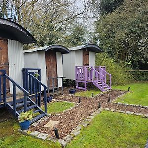 Glamping At The Fox Inn Bramdean Exterior photo