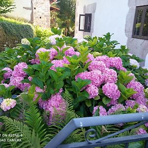 La Casona De Candamin Apartment Exterior photo